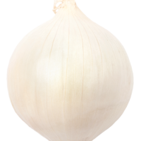 cebolla bca.1